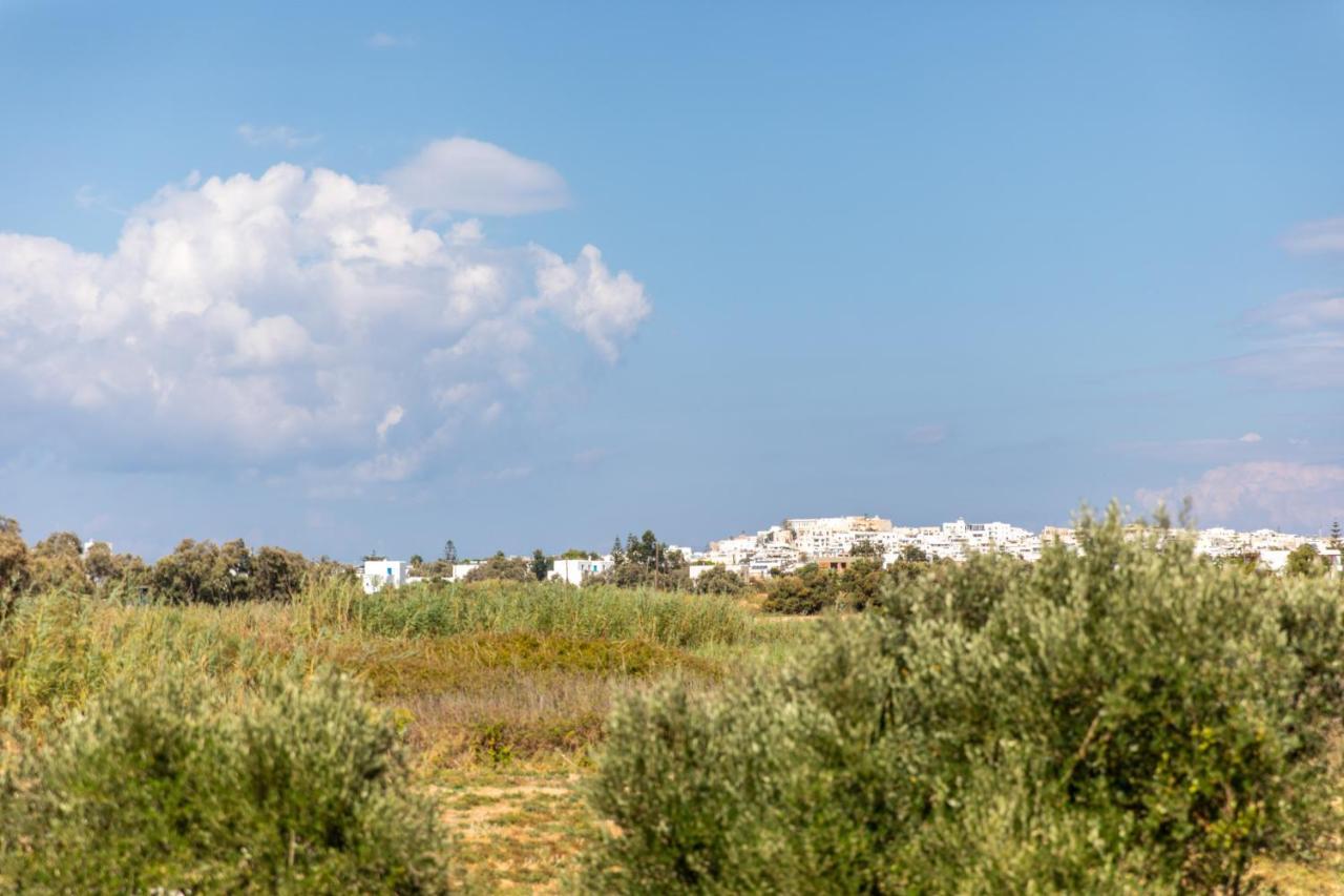 Surfer Paradise Naxos City Exterior photo